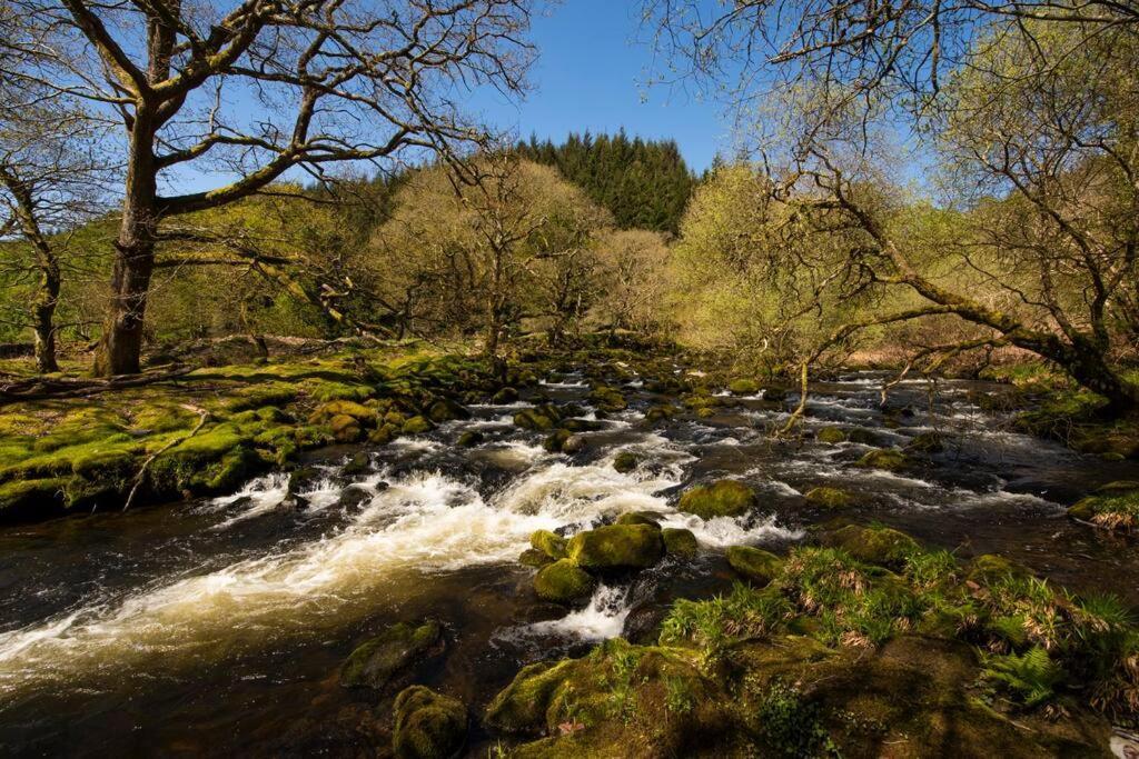 Charming Riverside Cottage In Snowdonia National Park Tanygrisiau المظهر الخارجي الصورة