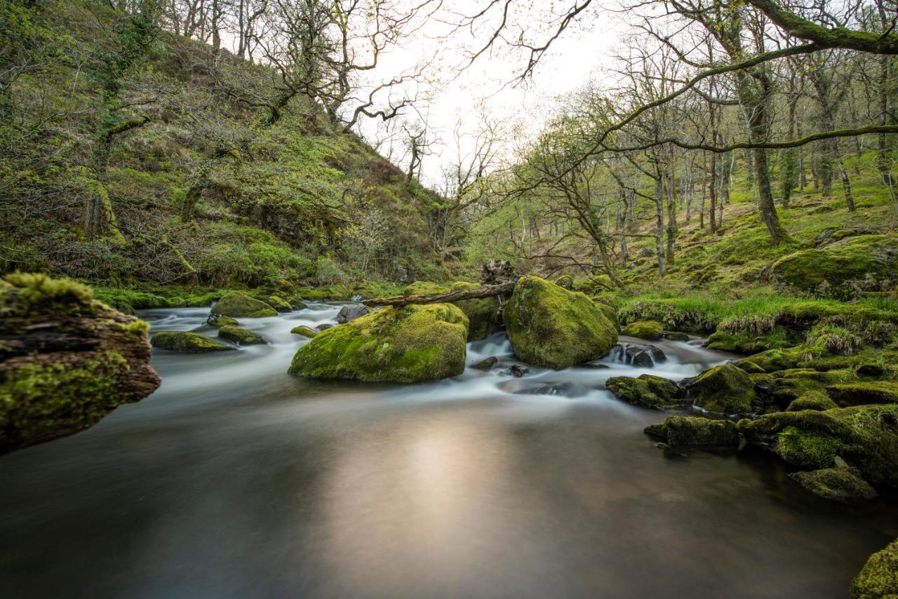 Charming Riverside Cottage In Snowdonia National Park Tanygrisiau المظهر الخارجي الصورة